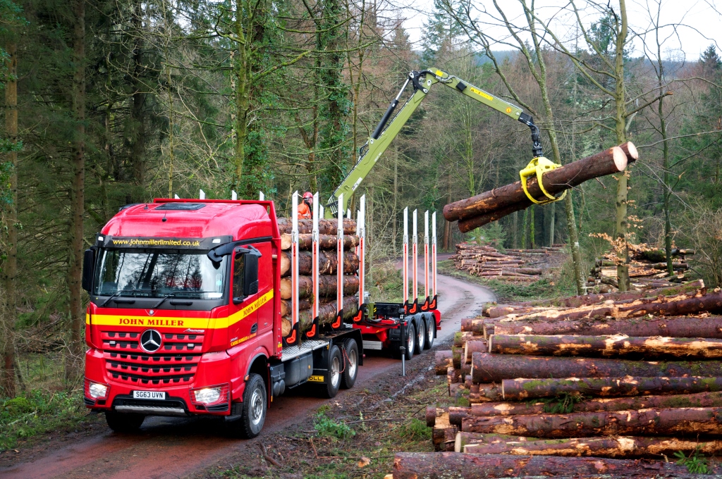 timber loading