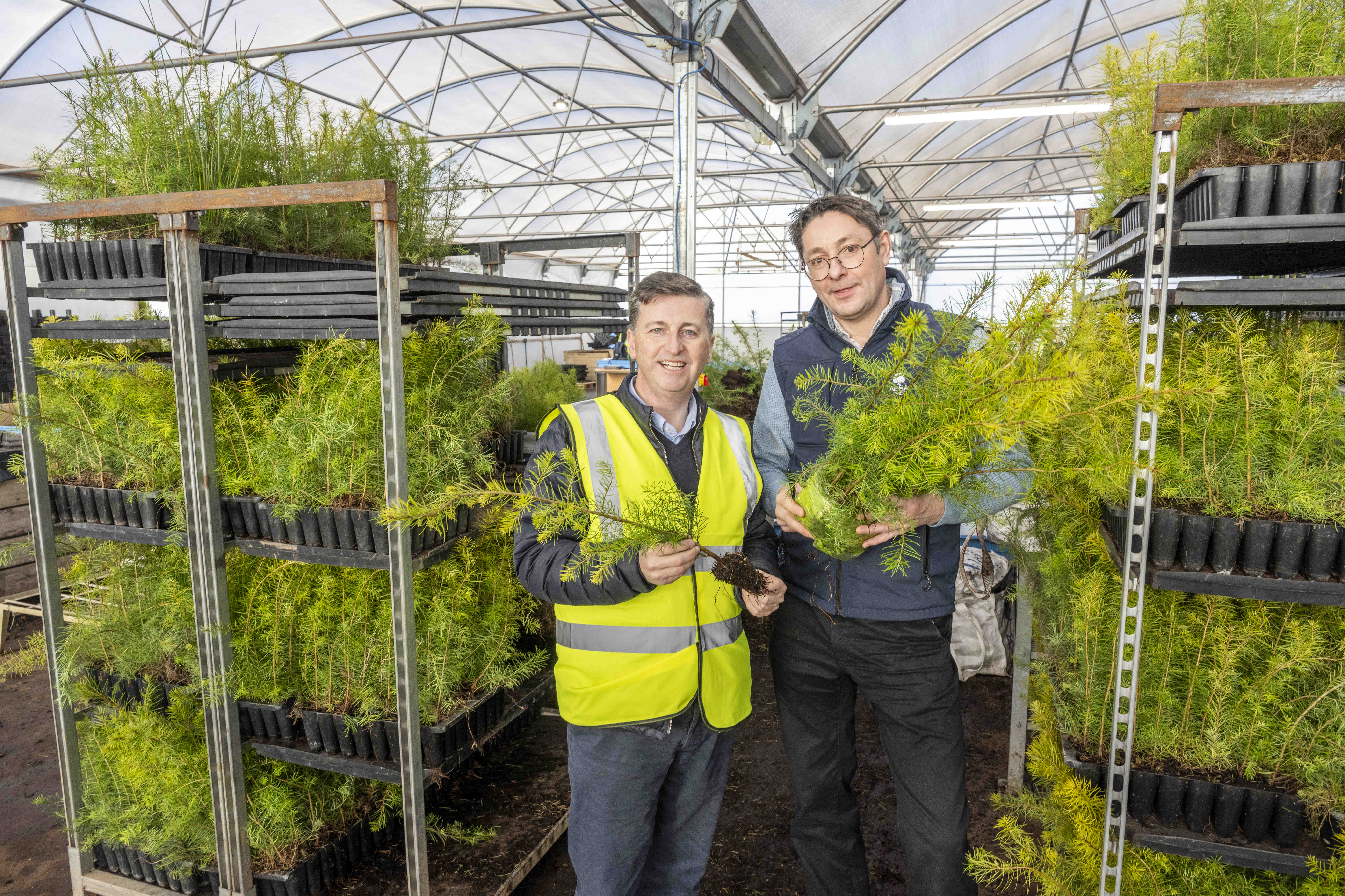 Douglas Alexander at Alba Trees