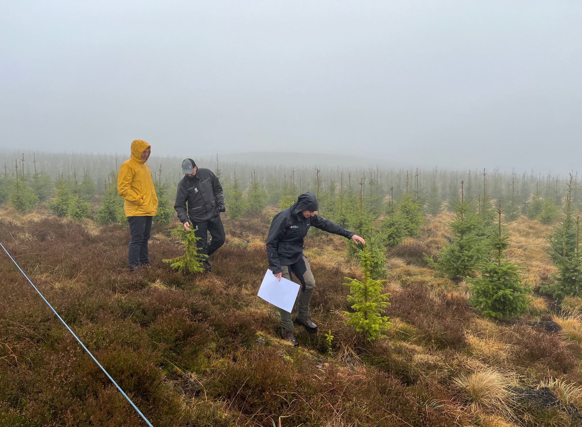 Jillian Kennedy at Knowes & Keltie