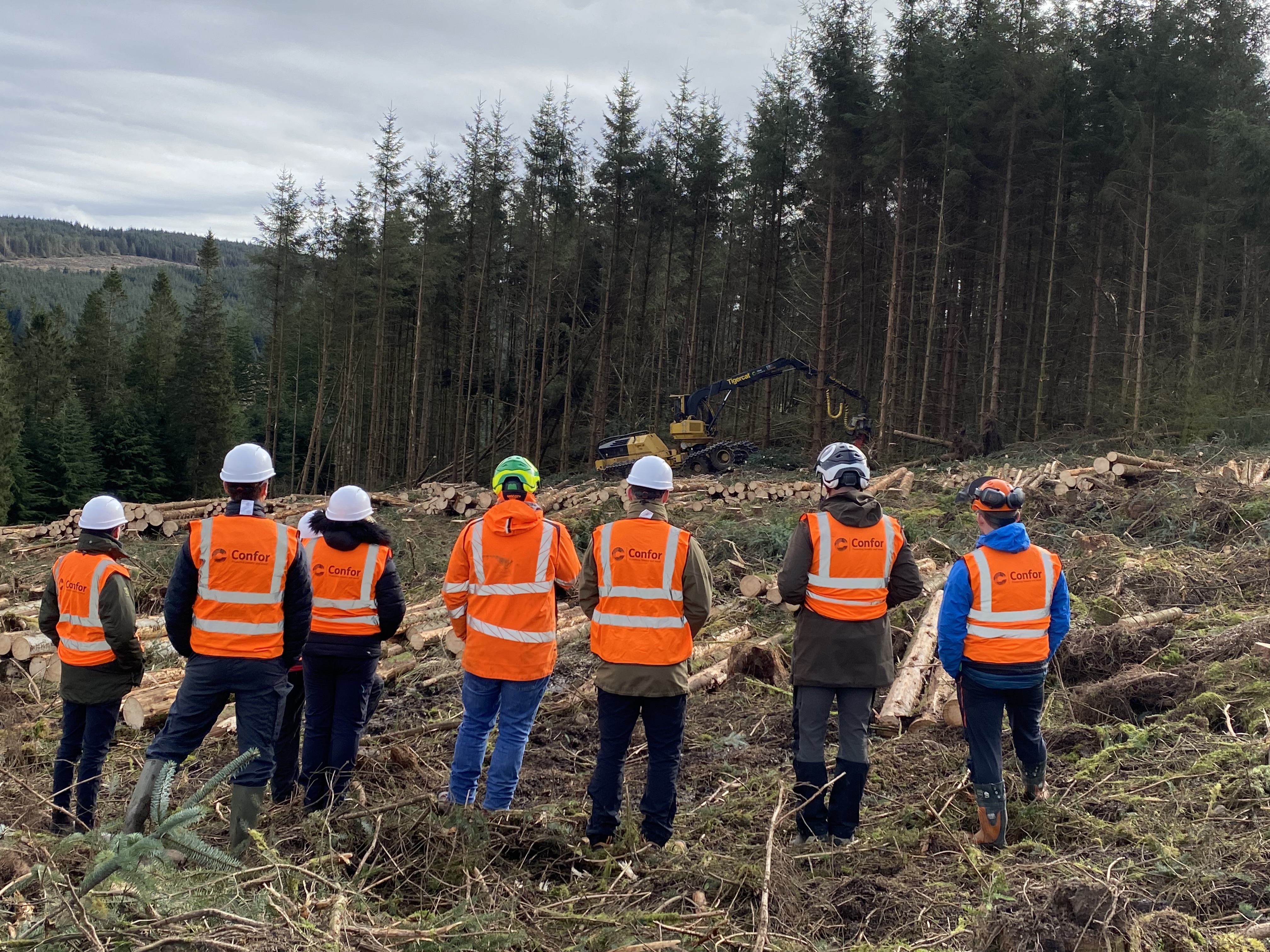 Confor guests at harvesting site