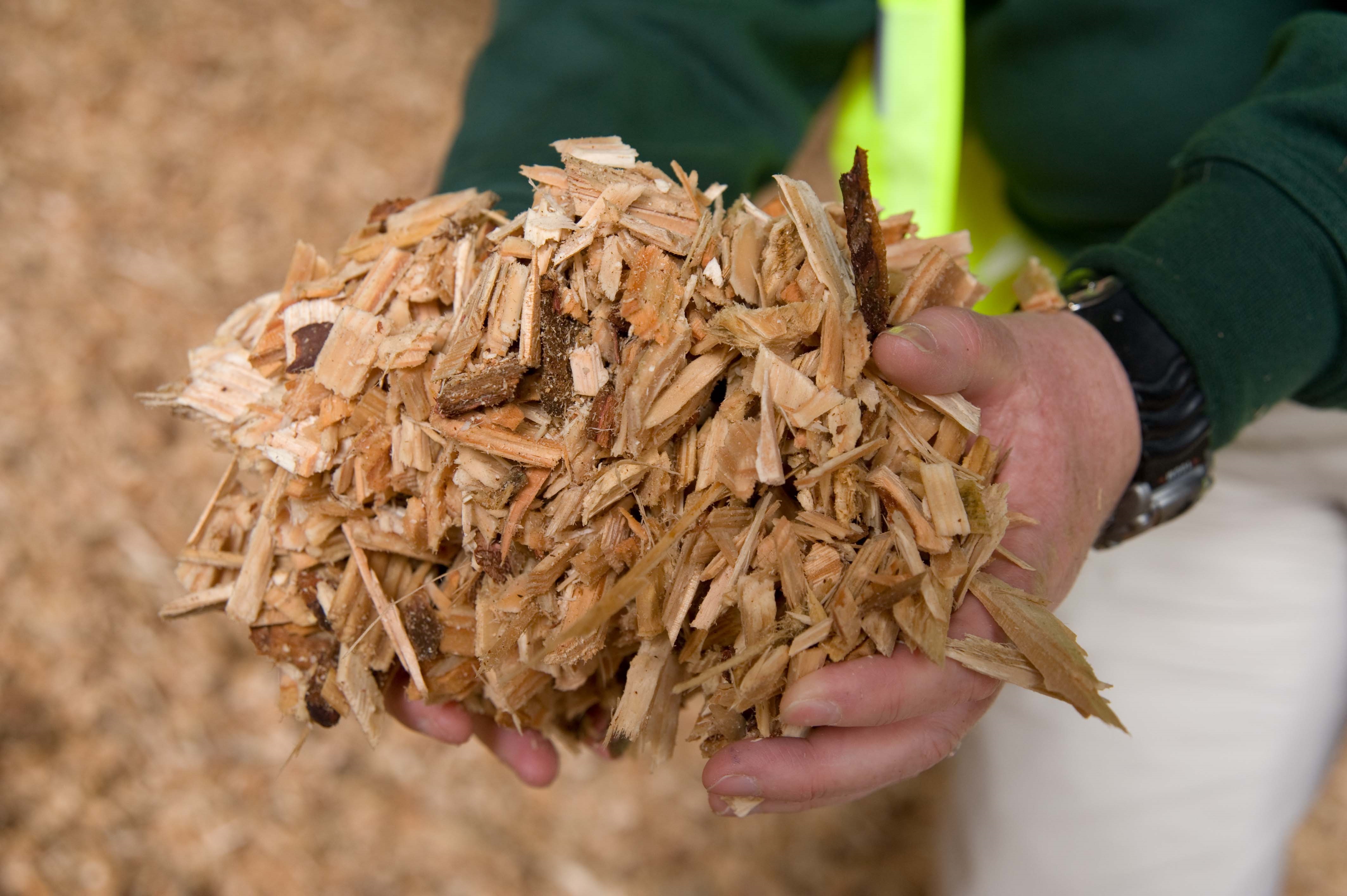 woodchip Forestry Comission