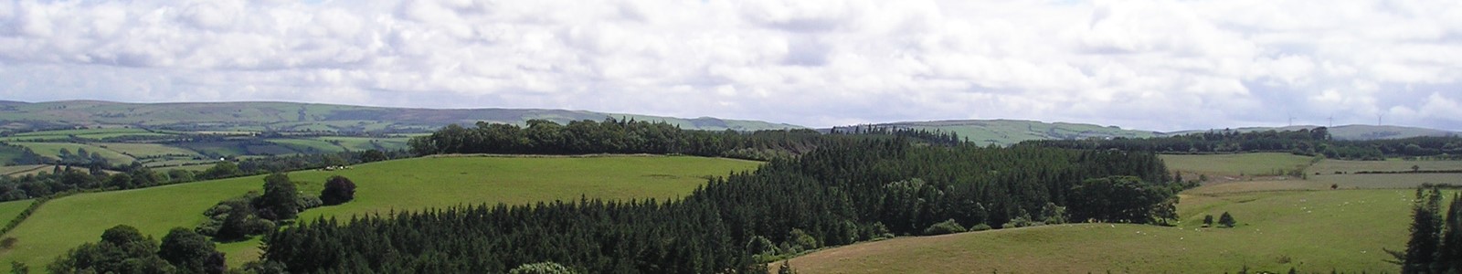 Farm landscape with woodland