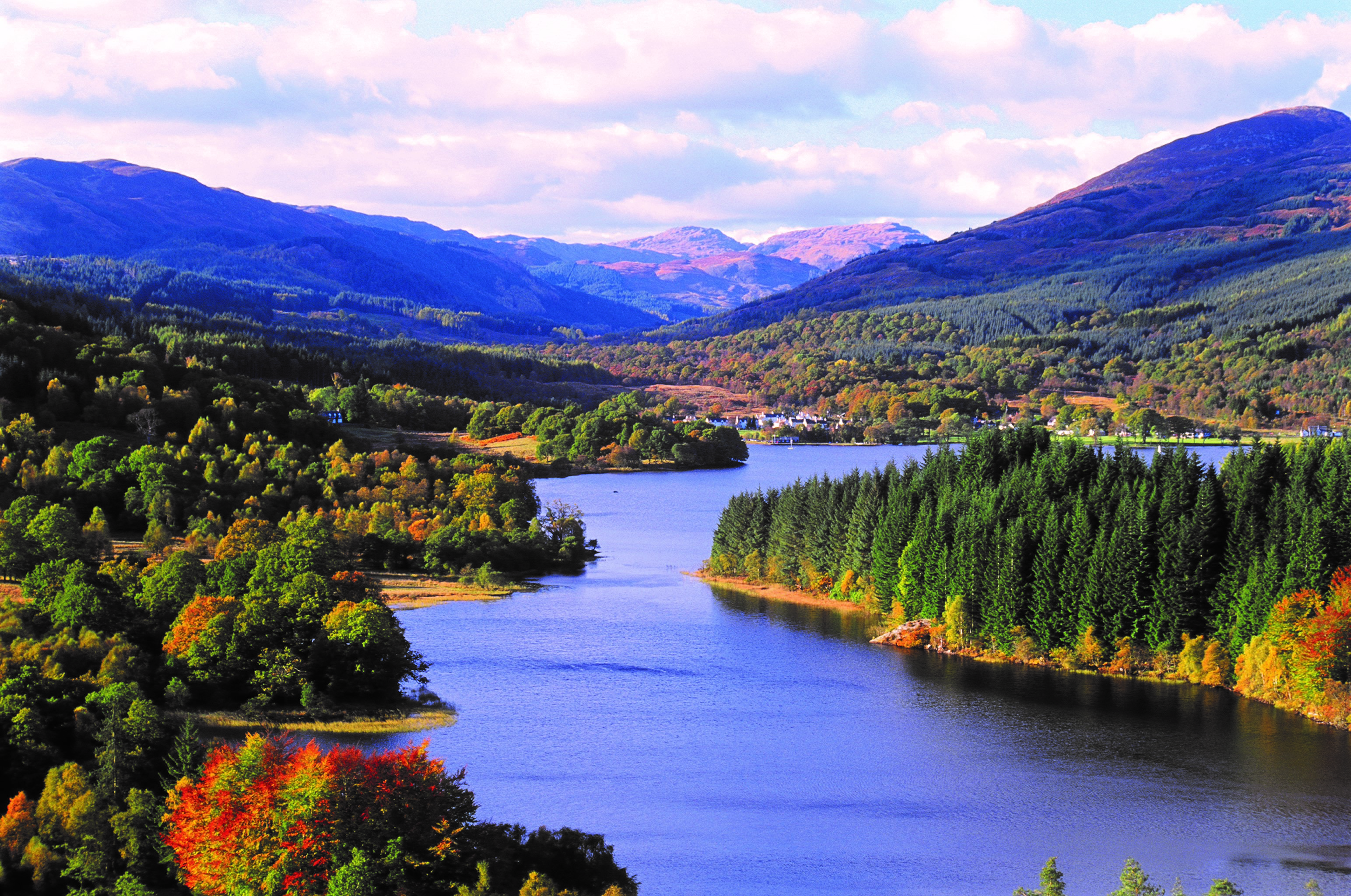 water and forestry John McKinlay