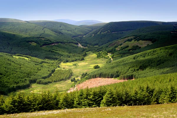 Striding arches byre locharbrigg modern forestry - from internet
