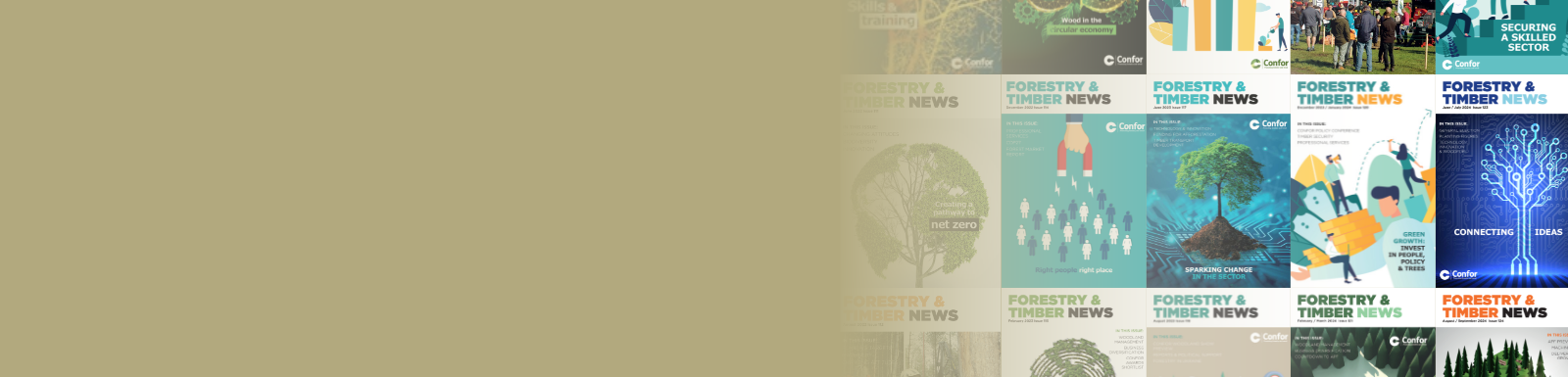 Forestry & Timber News