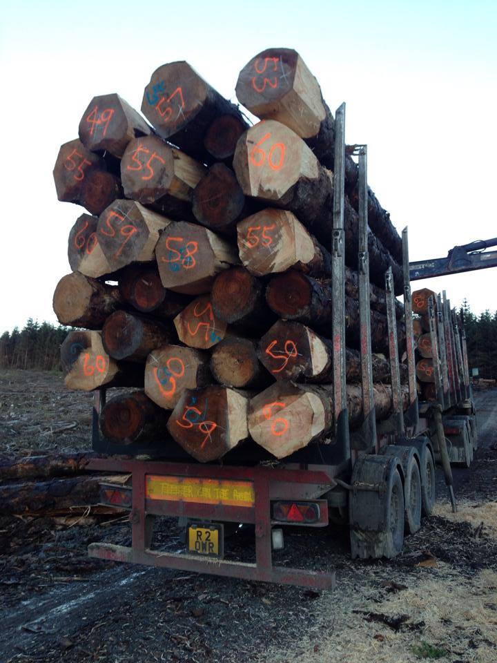 timber transport lorry